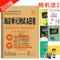 2019版 非常海淀单元测试AB卷化学九年级全一册 人教版 初中生9年级上册下册同步课本基础知识重点难点训练 ab测试卷