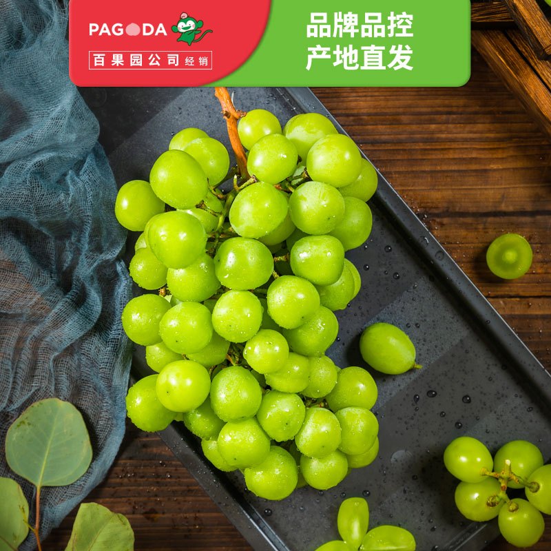 百果园公司 A级-阳光玫瑰青提(大果)3斤礼盒装 时令青提葡萄提子
