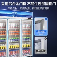 星星(XINGX)LSC-1218Y 1200升商用展示柜 立式对开门冷藏柜 商用大容量冰柜 冰箱 保鲜柜 三门饮料柜