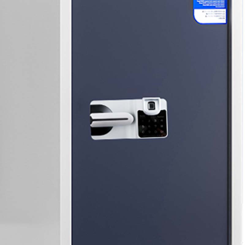 DXBG保密柜财务档案柜文件柜办公室资料储物柜保险柜单门白灰-国保指纹锁高清大图