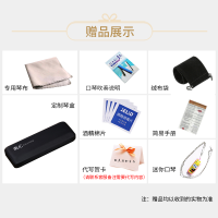 国光24孔单排单音单孔口琴铜格版C调初学者成人男女高级专业演奏级乐器
