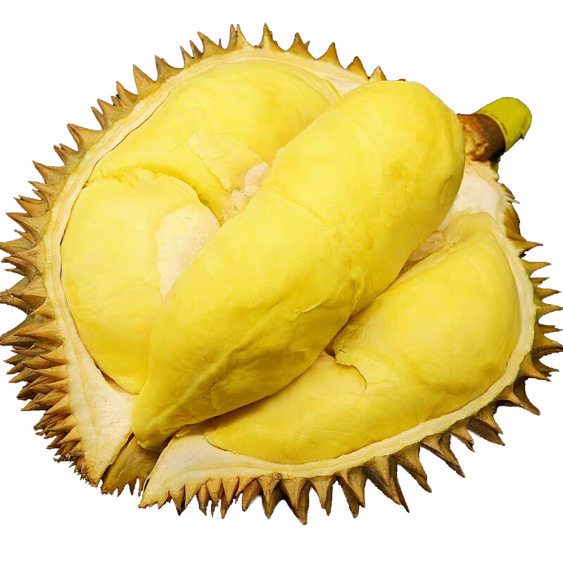 硕馥果园泰国金枕头榴莲1个装23斤巴掌小榴莲新鲜水果