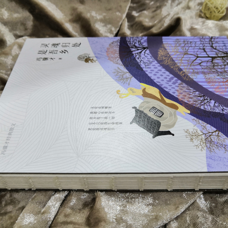 醉染图书灵魂归处是吾乡9787569506594高清大图