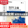 BPF之巅：洞悉Linux系统和应用性能