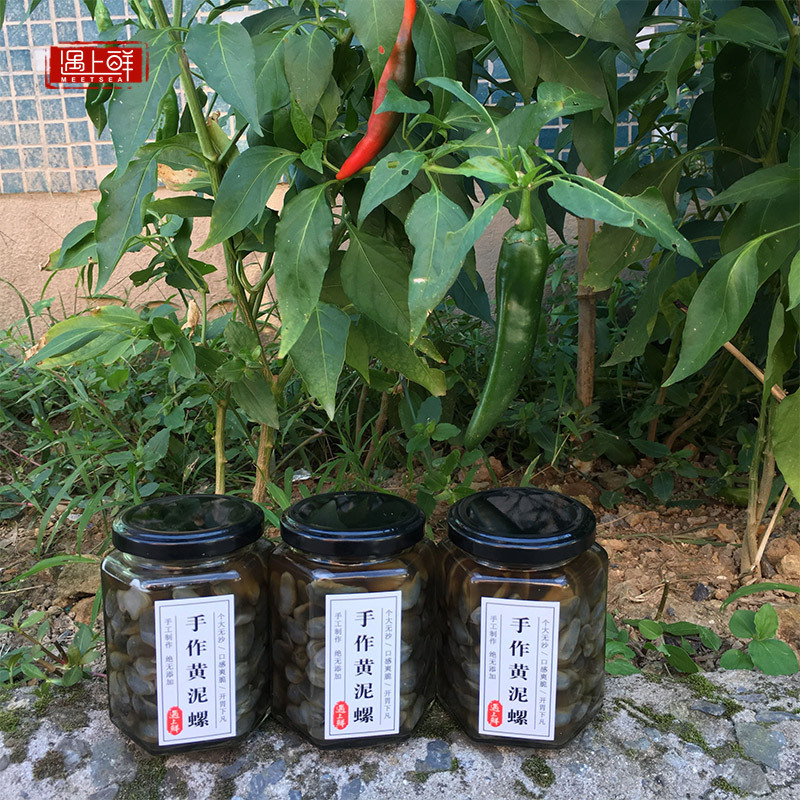 遇上鲜腌制醉泥螺 黄泥螺无沙脆个大宁波舟山海鲜特产