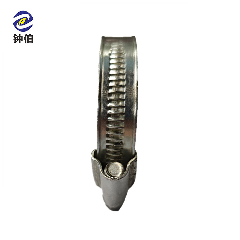 钟伯 英式强力喉箍 38-57mm 个
