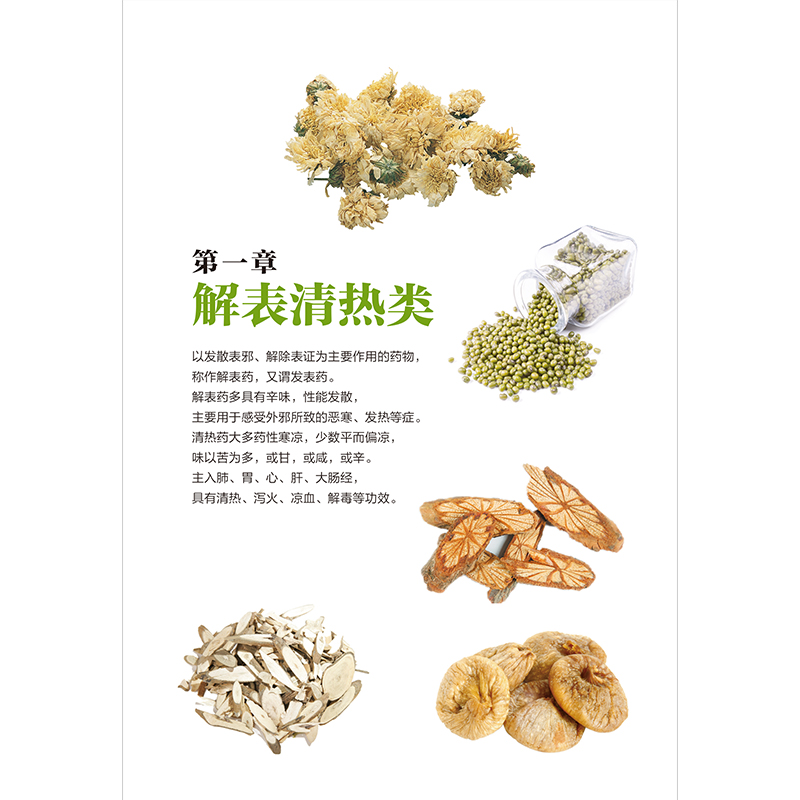 正版新书]中草药图鉴吴剑坤 主编 凤凰含章出品9787553757520高清大图