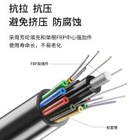 博扬 GYFTY-12B1.3 12芯室外非金属光缆 层绞式非铠装单模光纤线 管道光缆防强电击穿 100米 可定制长度