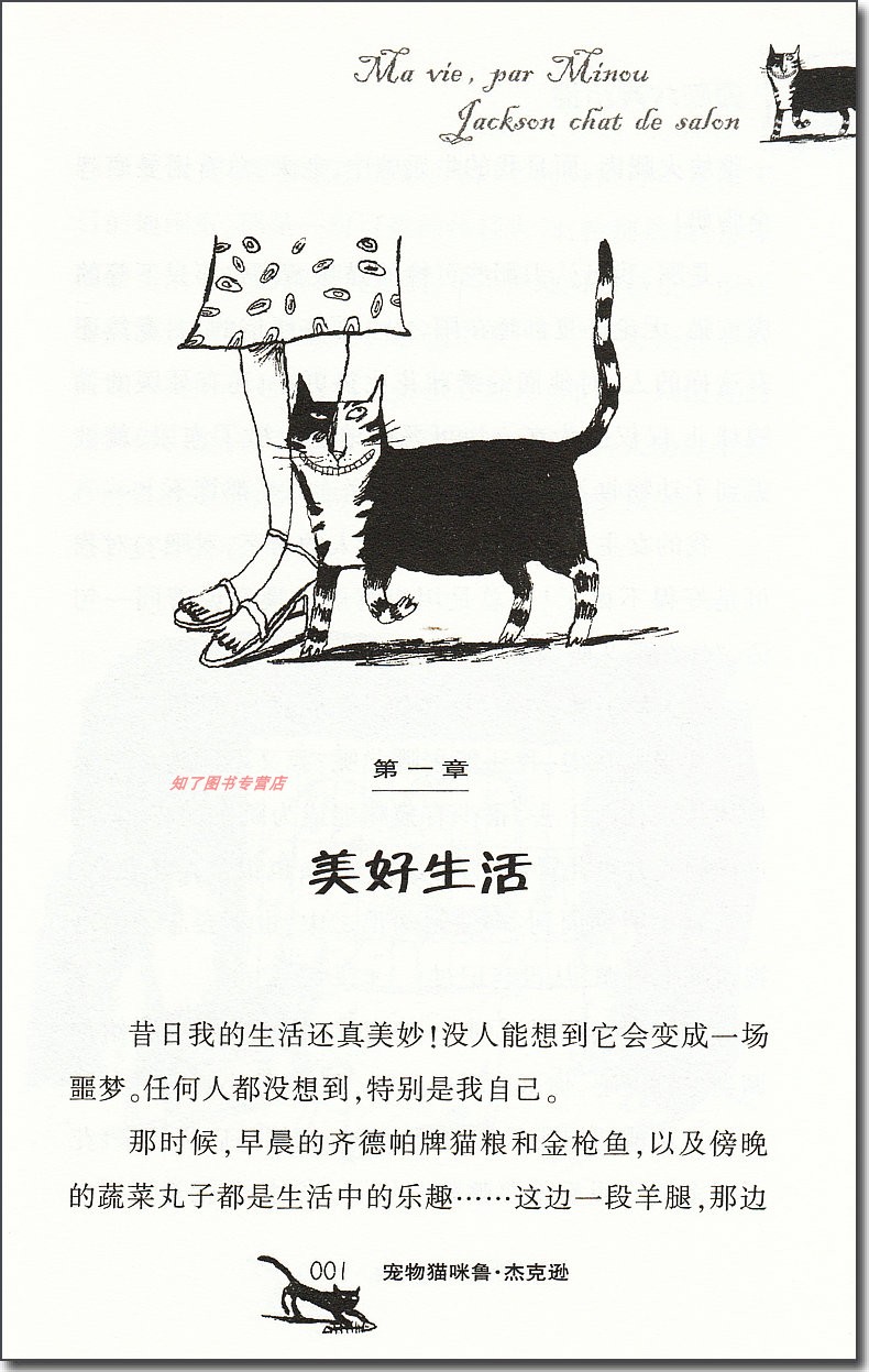 宠物猫咪鲁·杰克逊 [正版]国际大奖小说系列升级版 宠物猫咪鲁·杰克逊 儿童7-10岁少儿童文学读物三四五年级课外书小学高清大图