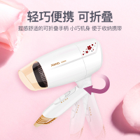 雷瓦(RIWA)电吹风RC-7111家用迷你可折叠冷热风恒温3档风速随意调控随意造型1200w大功率