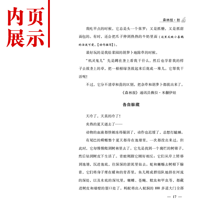 [正版]精装森林报春夏秋冬系列四册之一秋 小学生三四五六年级课外读初中阅读书籍 儿童读物9-15岁图书