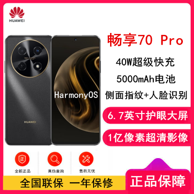 HUAWEI 畅享 70 Pro (CTR-AL20) 256GB 曜金黑