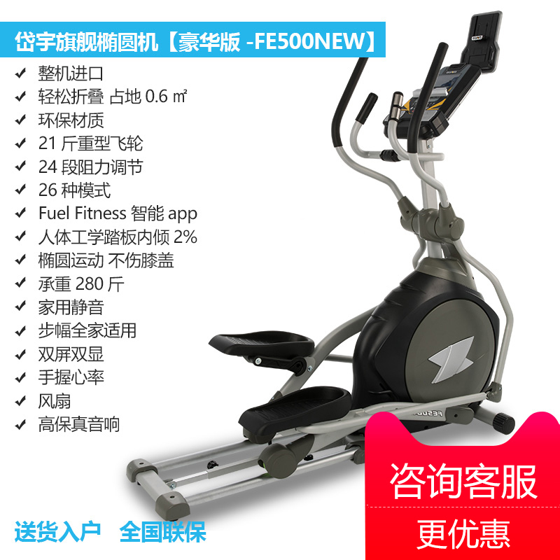 岱宇（DYACO）FE500NEW椭圆机磁控折叠家用健身器太空漫步登山机 【原装进口】免费送装