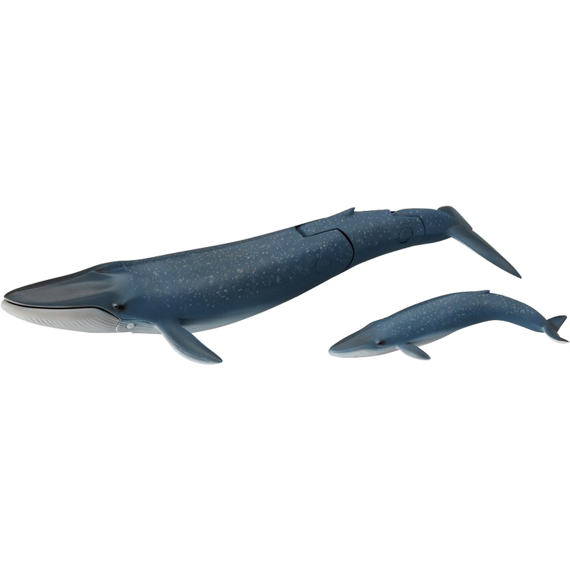 tomy多美安利亚仿真动物模型玩具海底世界海洋鲸鱼蓝鲸亲子870012