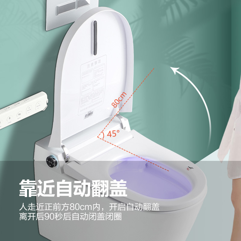 藤谷/TUNGO 壁挂式智能马桶小户型隐藏水箱墙排马桶悬挂家用挂墙坐便器后排直冲式座便器 T033PLUS