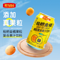 鲜绿园枇杷金橘果粒复合果汁饮料整箱装工厂直发批发价