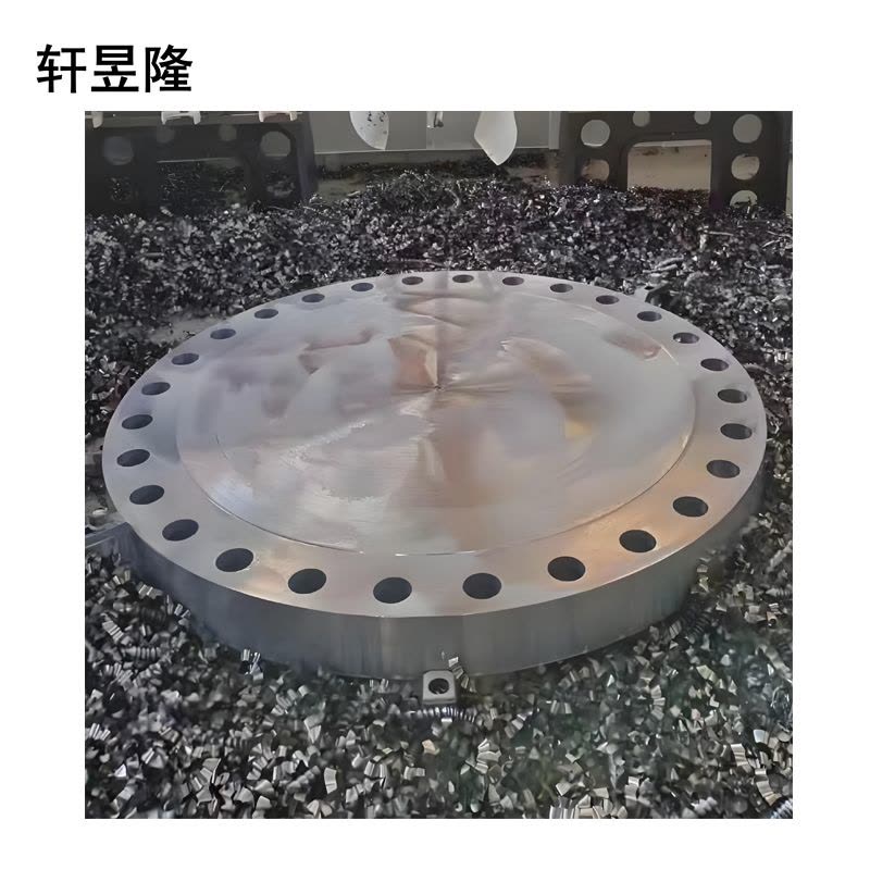 轩昱隆预埋钢板 外径504mm*厚20mm/块图片