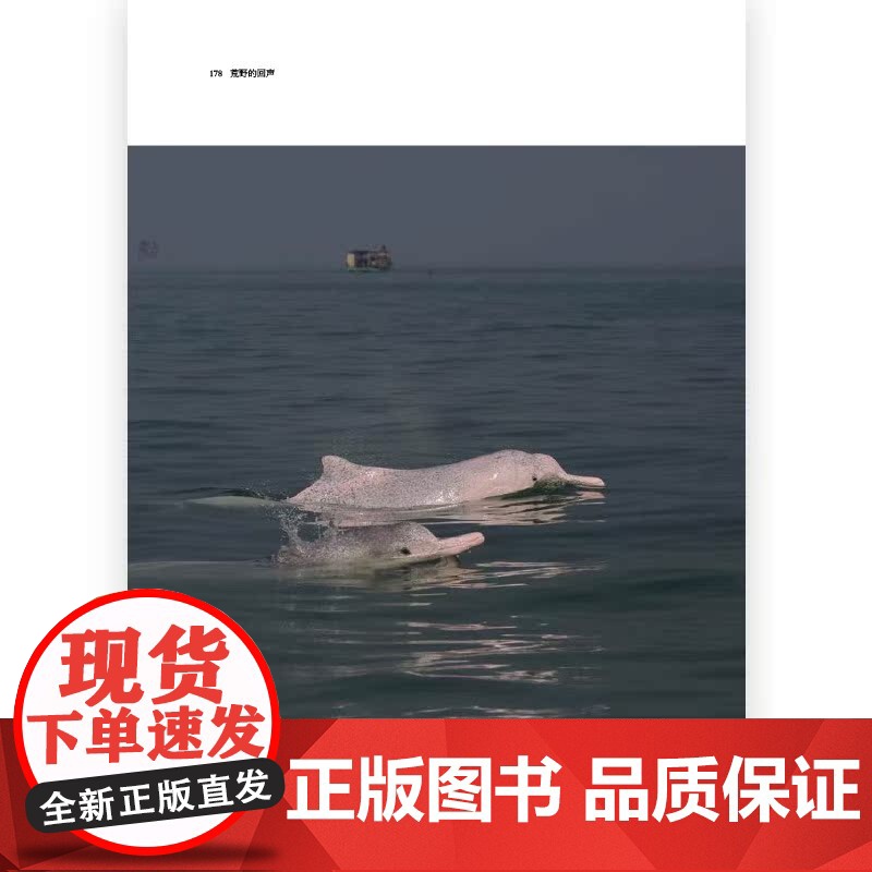 [央视网X后浪]荒野的回声 100多种野生动物大熊猫抹香鲸野生动物 生态保护自然科学游记大众科普摄影画册书籍高清大图