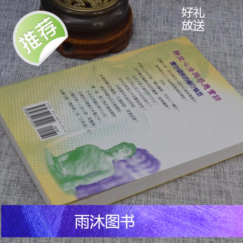 正版 静坐心法与感应实录 法缘居士 宋林高清大图