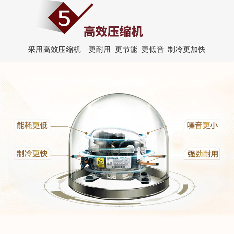 Aucma/澳柯玛BCD-216CGX家用小型双温冰柜铜管双门冷冻冷藏冷柜