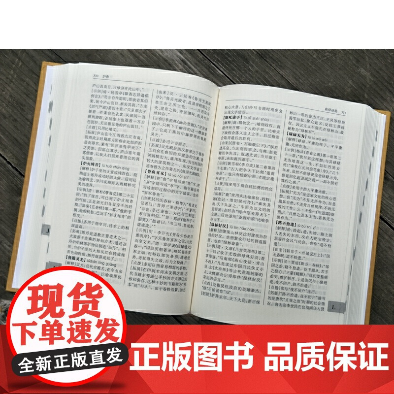 成语知识词典 江苏省中华成语研究会,王建军 编 汉语/辞典文教 正版图书 上海辞书出版社