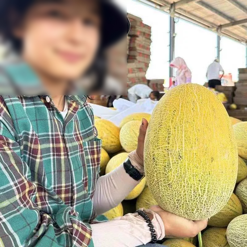 [西沛生鲜]正宗八六王瓜 净重4.5斤 2-4个 新鲜水果当季哈蜜瓜高清大图