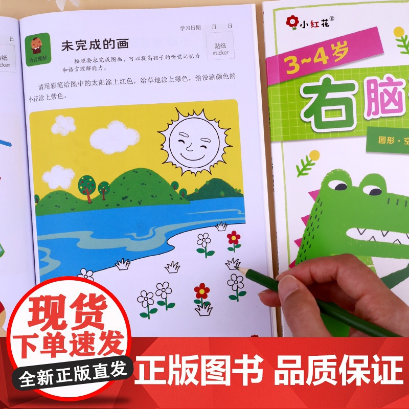 邦臣小红花左右脑开发书3-4岁宝宝专注力训练左脑开发右脑开发书籍全脑大脑智力大开发儿童逻辑思维脑力三四岁幼儿益智类早教高清大图