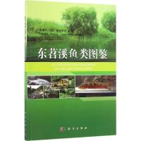 东苕溪鱼类图鉴 李建华,(日)岛谷幸宏 编著 著作 专业科技 文轩网