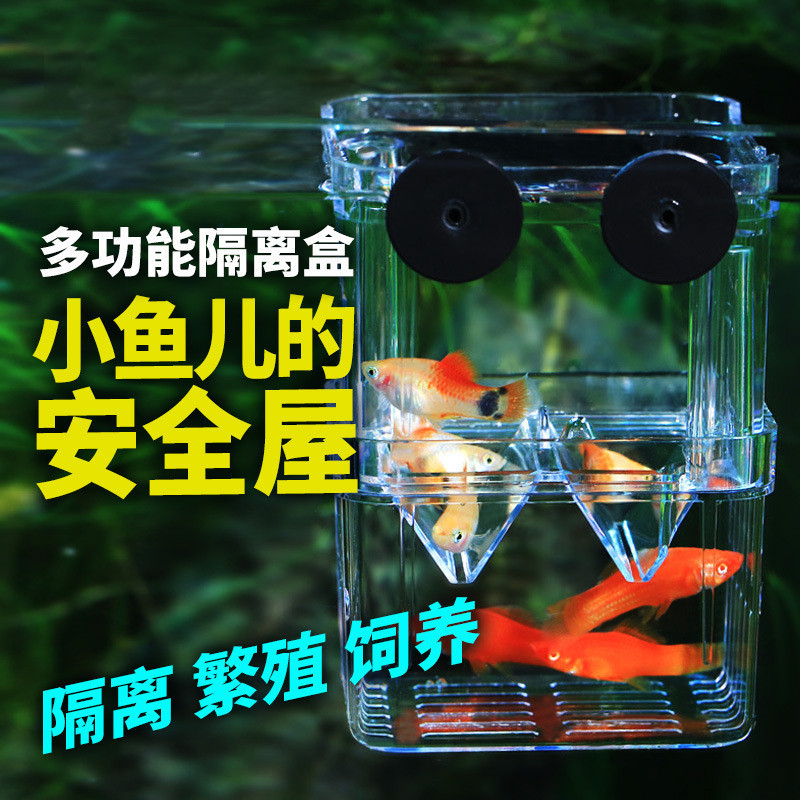 鱼缸繁殖隔离盒 保护小鱼下崽热带鱼产房孵化盒 孔雀鱼小型悬浮式高清大图