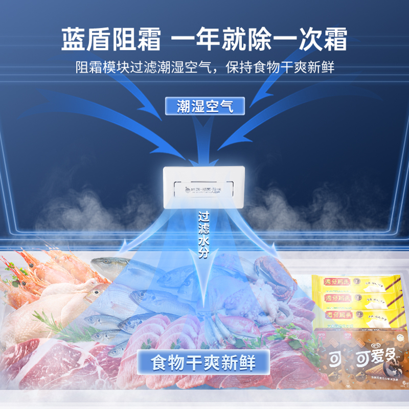澳柯玛100升冷柜家用小冰柜全冷冻冷藏两用卧式一级单温冷柜冰箱高清大图