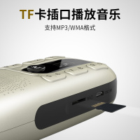 PANDA/熊猫经典系列S10插卡音箱收音机便携小音响唱戏机老人广播半导体收音机带手电筒
