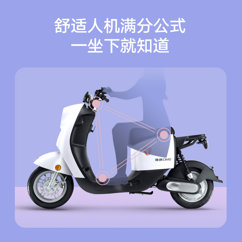 雅迪电动车新款DM2畅行版新国标成人轻便电动自行车48V24Ah可提锂电舒适减震电瓶车 48V24A/金属钛灰