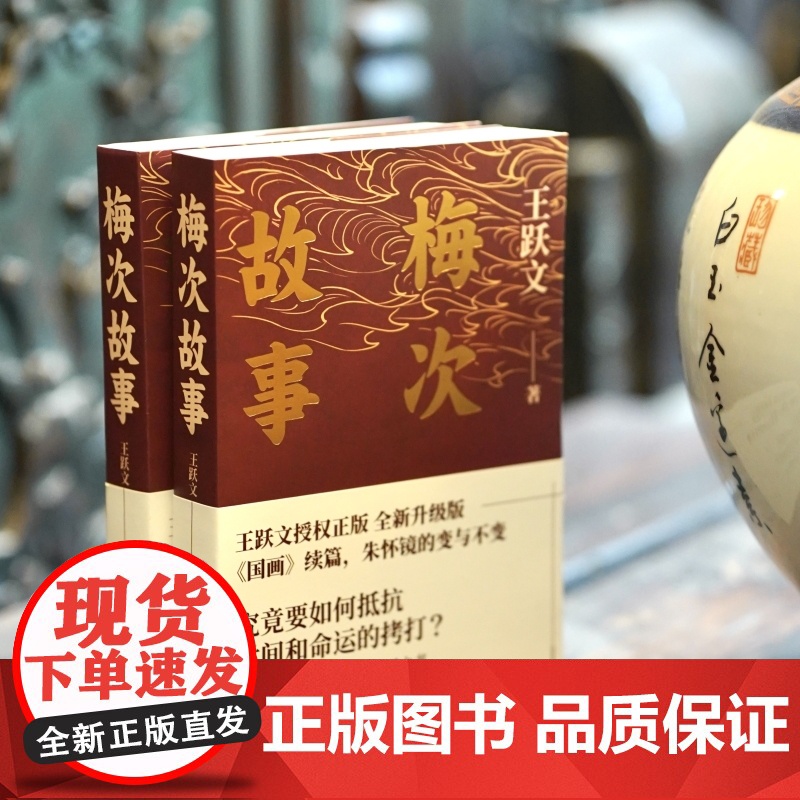 梅次故事(写给正在寻找出路年轻人的自救之书!) 王跃文 湖南文艺出版社 正版书籍高清大图