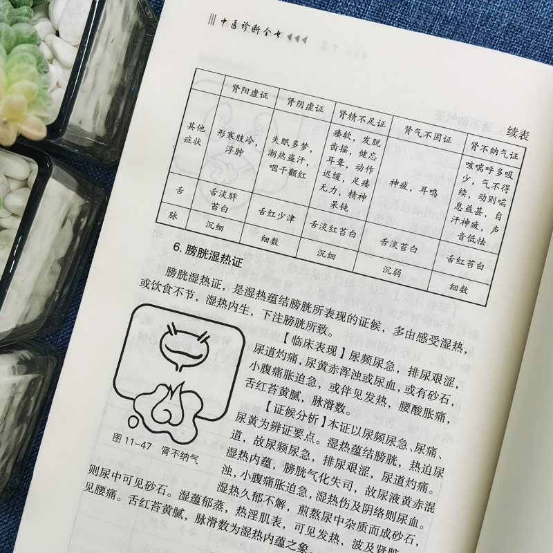 [正版]中医诊断全书中医基础理论中医学诊断治疗大全集书诊疗各种疾病临床实践临床疗效中医自学病症鉴别诊断面诊手诊高清大图