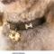 宠物项圈带铃铛骨头脚丫猫狗链子厂家直销猫狗脖圈大小狗宠物用品 黑色 S