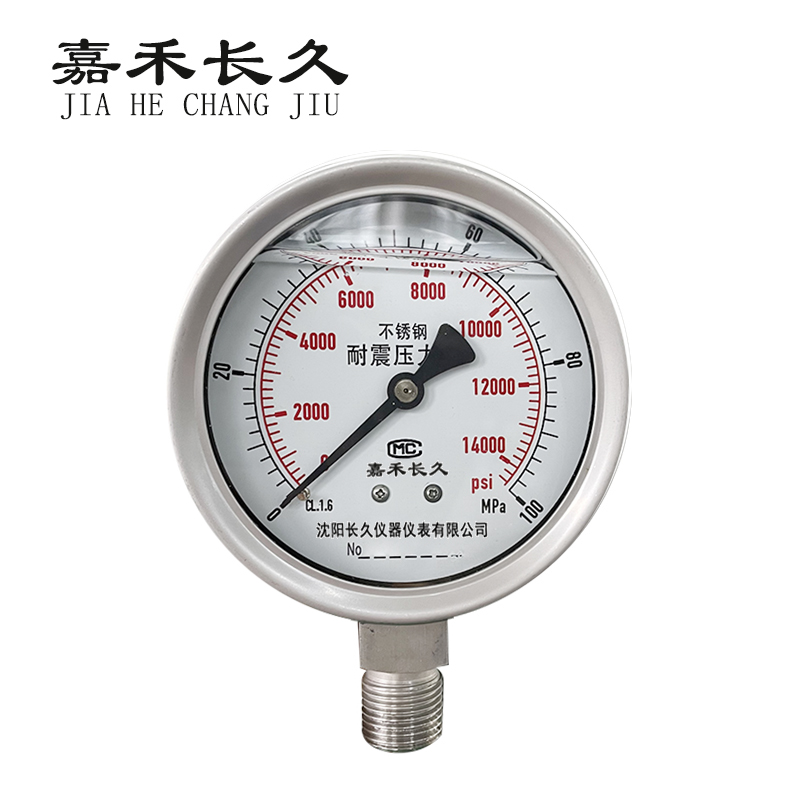 嘉禾长久/不锈钢耐震压力表定制检测型/YN100BF 0-100Mpa/块