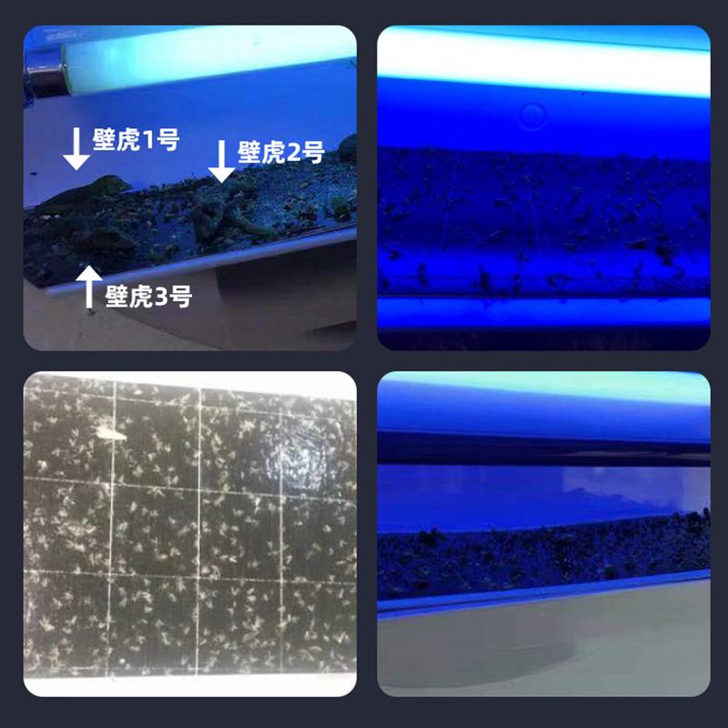 灯下科技灭蝇灯粘捕式灭蚊灯餐厅商用灭蚊神器捕蝇器驱蚊器饭店粘捕灭苍蝇神器D16W飞利浦双管-黑色