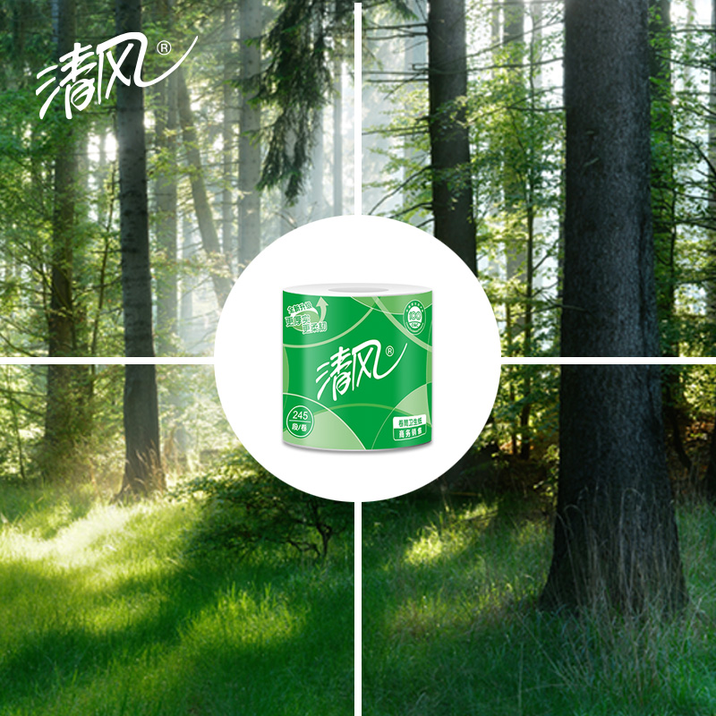 清风 商用245段有芯卷筒纸10卷/提*2提(B22AA3S-2T)ZC -高清大图