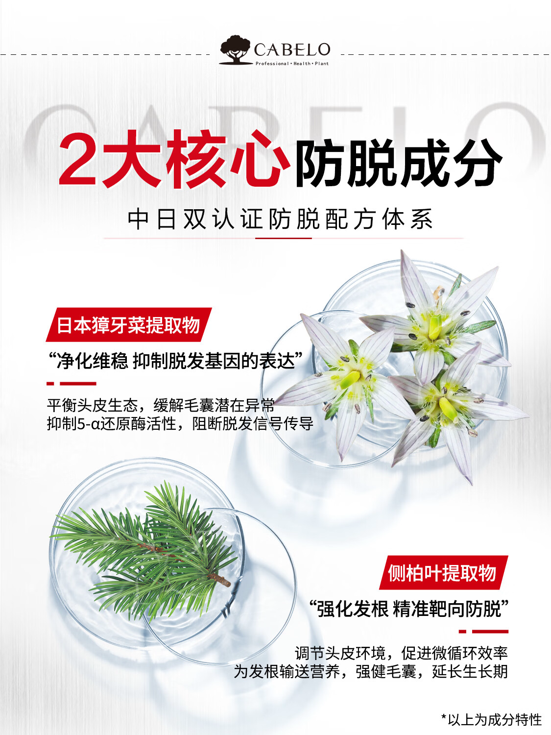 卡蓓诺防脱洗护套装(男士专用)350mL+350mL 洗护套装高清大图