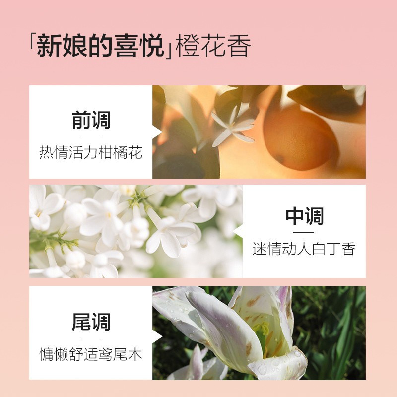 POTE_Natural 柏缇 玫瑰紧致 沐浴露- 650ml高清大图