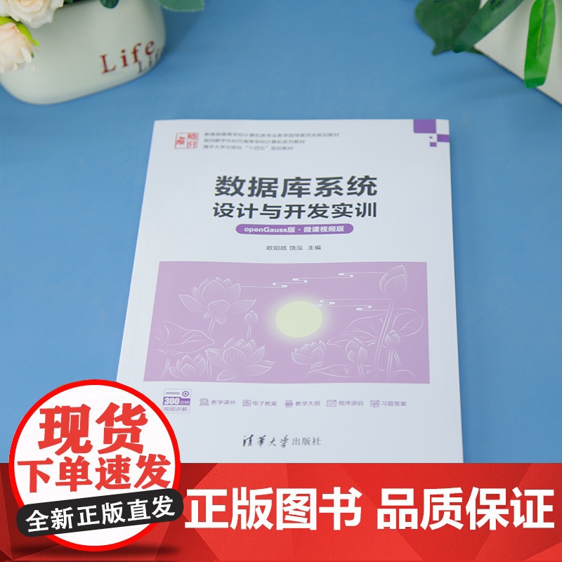 [正版新书]数据库系统设计与开发实训(openGauss版·微课视频版) 欧阳皓、饶泓 清华大学出版社 数据库高清大图