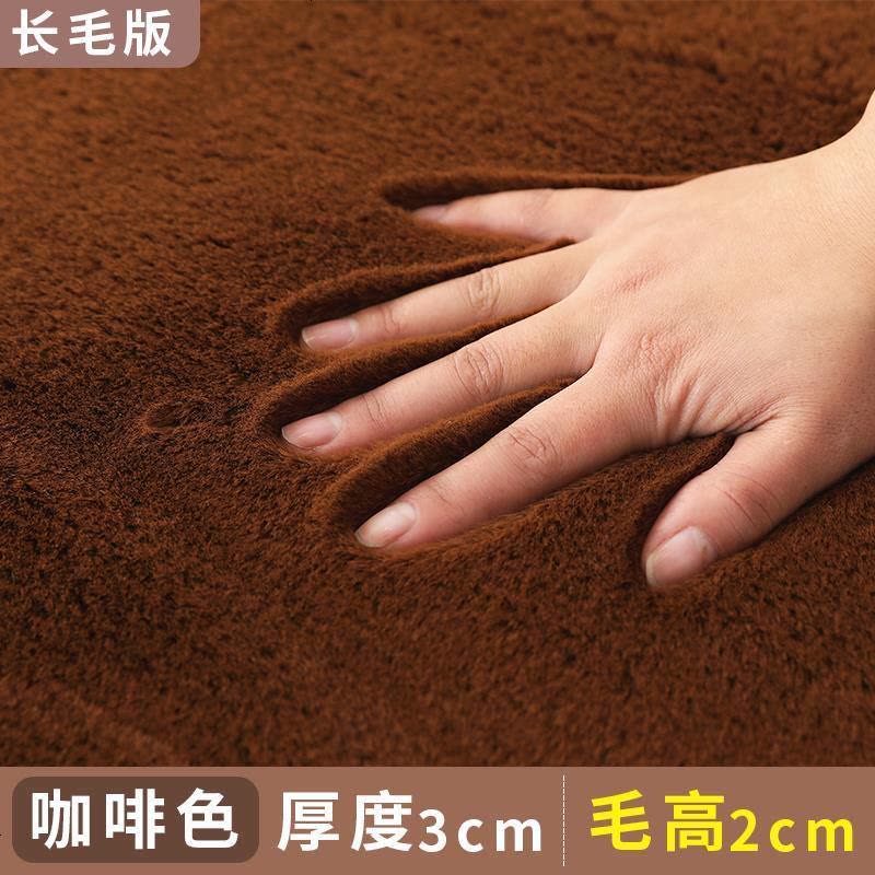 卧室地毯床边毯满铺房间脚垫飘窗窗台垫子加厚床前毛绒小地毯可爱图片