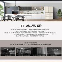 松下进口多门冰箱NR-F504VT-N5