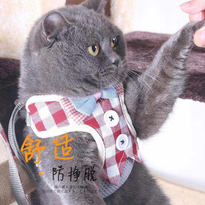 红色贴布1.0 猫咪牵引绳猫绳子遛猫绳胸背带防挣脱栓猫绳背心式幼猫链子溜猫绳