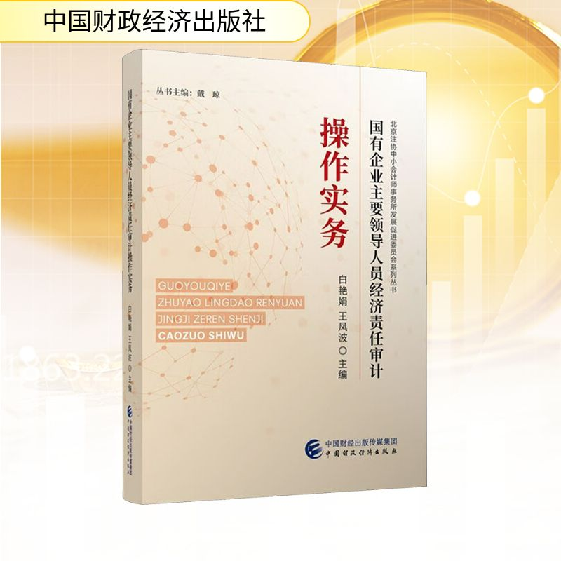 正版新书]国有企业主要领导人员经济责任审计操作实务白艳娟,王高清大图