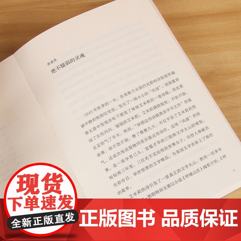 我歌唱夜色将尽(艾米莉·勃朗特抒情诗选)高清大图