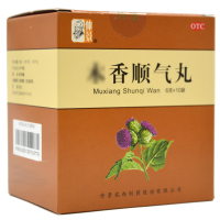 仲景 木香顺气丸 6g*10袋 行气化湿 健脾和胃 脘腹胀痛 呕吐恶心