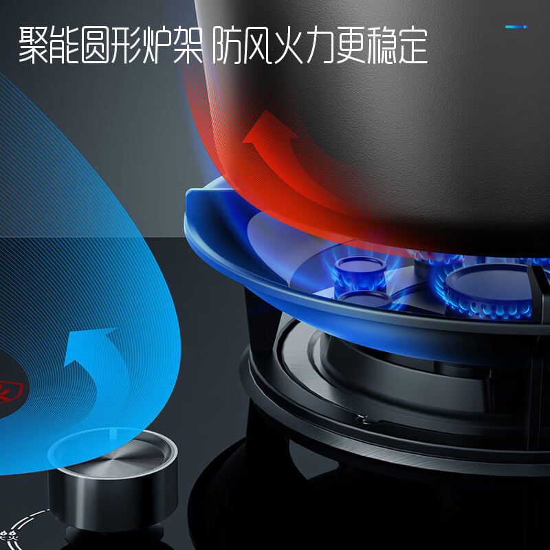 创维 燃气灶煤气灶双灶家用 5.0kW九孔聚能猛火鸳鸯灶具 台式/嵌入式 钢化玻璃灶台 Z209B液化气