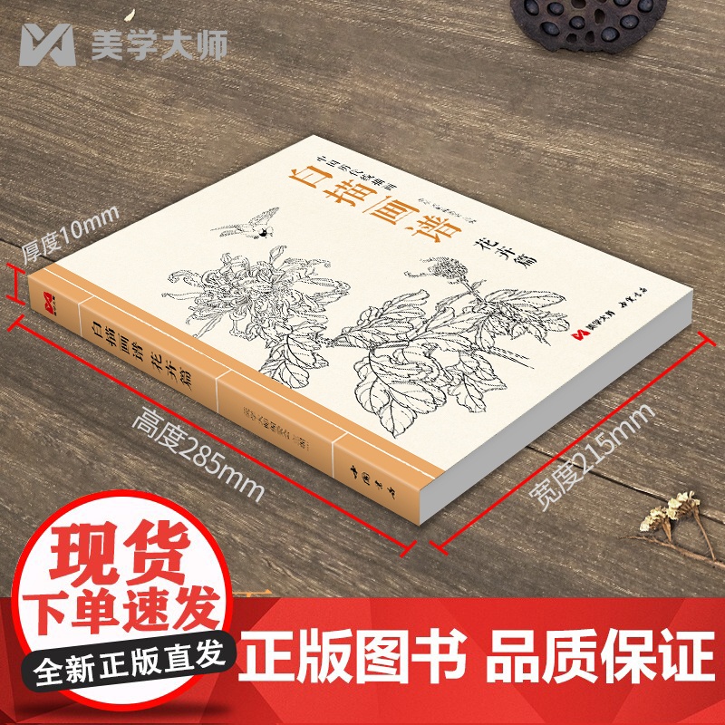 2022新书 白描画谱 花卉篇 中国工笔技法画册集书籍入门初自学者零基础教程材成人手绘临摹勾线名家底稿图大全美术绘画高清大图