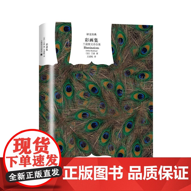 彩画集(兰波散文诗全集) [法]兰波著 王道乾译 译文经典 十九末法国生活风情 诗人对世间的挑战 上海译文出版社 正版高清大图